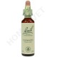 Bach Flower Remedies for Animals - Clematis